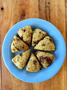 Chocolate Chip Scones (paleo, nut-free, low-carb) | Cook It Up Paleo