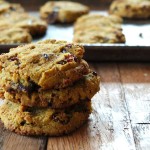 Paleo Soft-Bake Pumpkin Chocolate Chip Cookies with Cranberries (egg-free, vegan) | Cook It Up Paleo