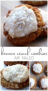 Frosted Banana Crunch Cookies (AIP, Paleo) - guest post from Gabriella of Beyond the Bite | Cook It Up Paleo