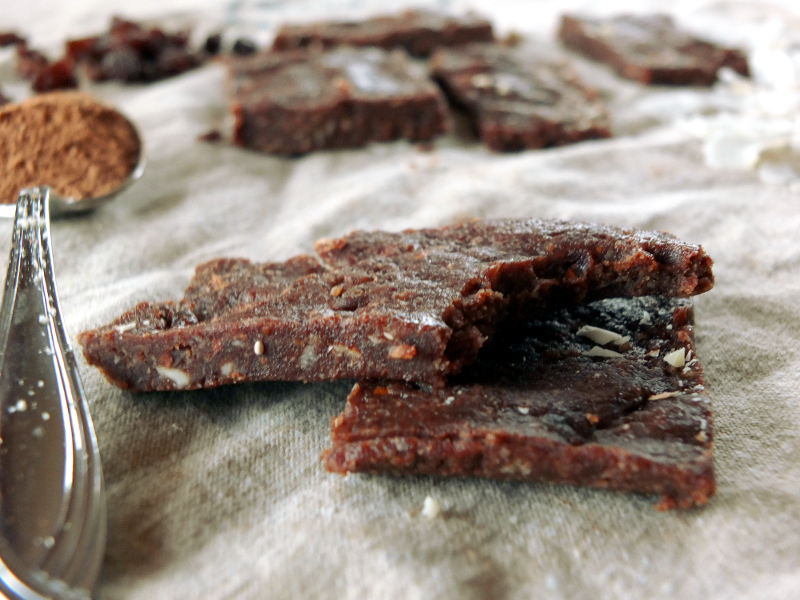 Coconut Cacao Protein Bars | Cook It Up Paleo