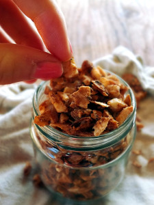 Paleo Honey Bunches of N'Oats | Cook It Up Paleo