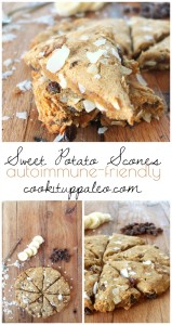 Sweet Potato Raisin AIP Scones