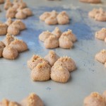 Paleo Spritz Cookies | Cook It Up Paleo