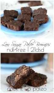 Low Sugar Paleo Brownies (Nut-free, 21DSD)