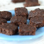 Low Sugar Paleo Brownies (Nut-free, 21DSD)