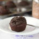 Low Carb Chocolate Muffins