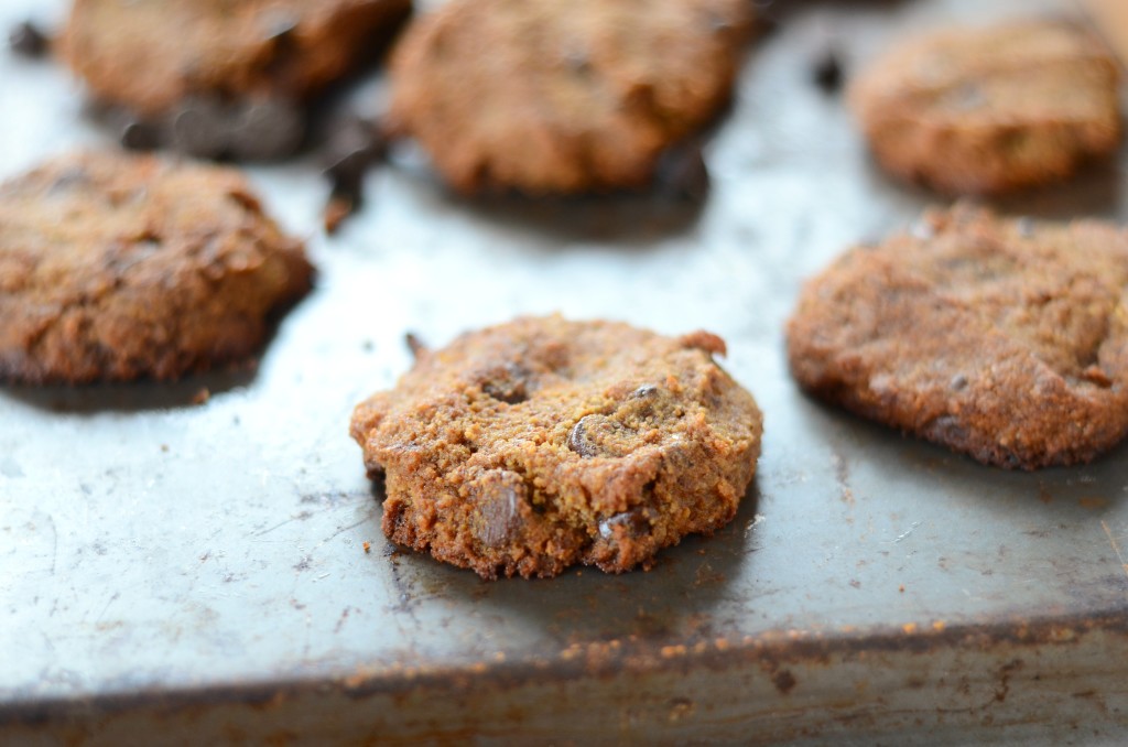 The Best Chewy Coconut Flour Chocolate Chip Cookies