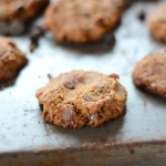 The Best Chewy Coconut Flour Chocolate Chip Cookies