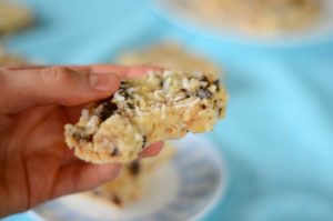 No Bake Paleo Magic Cookie Bars