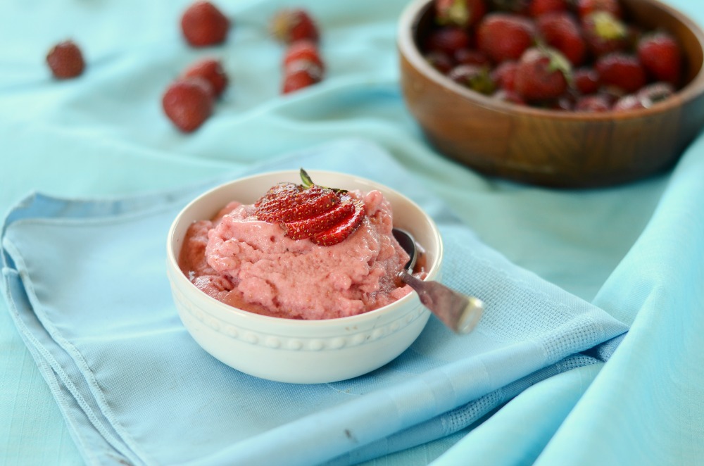 Paleo Strawberry Ice Cream (dairy-free, coconut-free, egg-free)