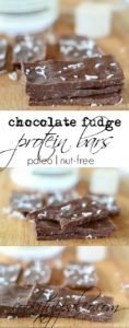 Paleo Chocolate Protein Bars - nut-free