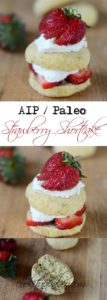 AIP Strawberry Shortcake