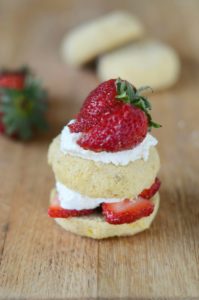 AIP Strawberry Shortcake